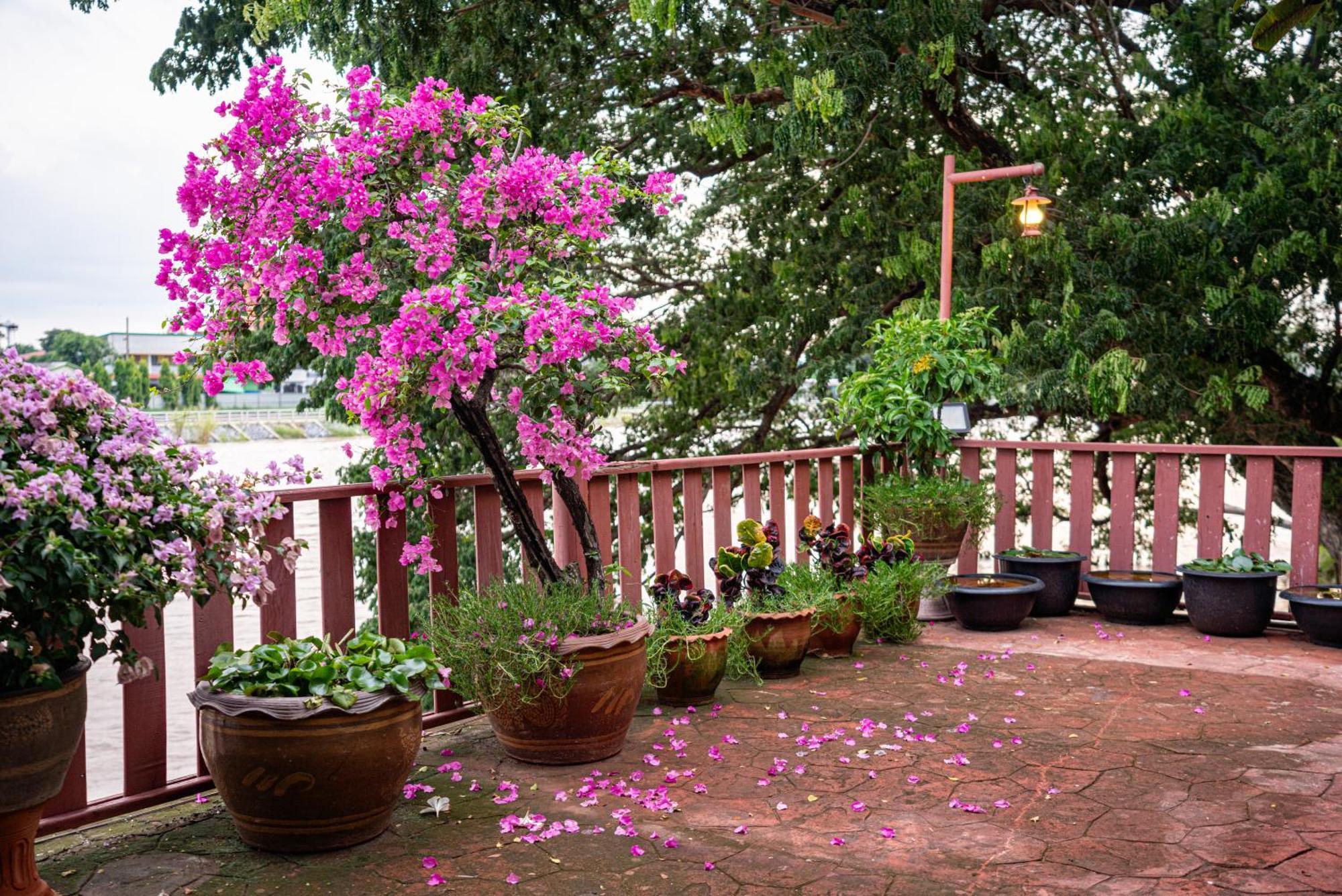 Athithara Homestay Аюттхая Экстерьер фото